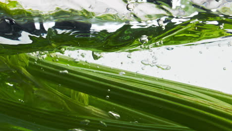 Celery-stalks-splashing-water-surface-closeup.-Healthy-organic-food-commercial.