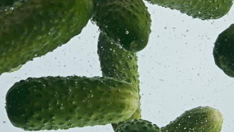 Closeup-cucumbers-rise-water-surface-in-light-background.-Fresh-green-vegetables