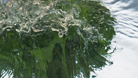Closeup-broccoli-dropping-water-surface-closeup.-Healthy-green-vegetable-splash