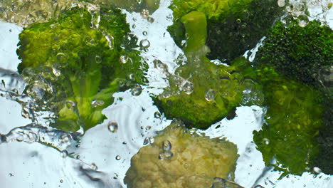 Pieces-broccoli-cauliflower-falling-water-in-super-slow-motion-close-up.