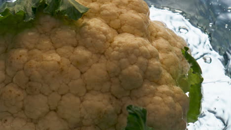 Closeup-cauliflower-head-water-float-in-light-background.-Fresh-organic-veggie
