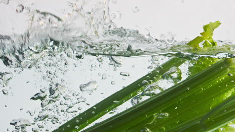 Ripe-celery-splashing-liquid-in-light-background-closeup.-Healthy-fitness-eating