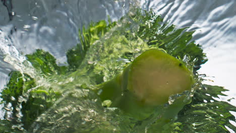 Köstlicher-Brokkoli,-Spritzwasser-Auf-Hellem-Hintergrund,-Nahaufnahme.-Gesunder-Vegetarischer-Kopf