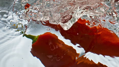 Closeup-paprika-splashing-liquid-in-light-background.-Hot-spicy-vegetable-bounce