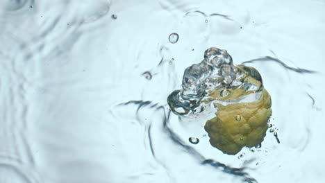 Fresh-cauliflower-piece-splashing-liquid-in-super-slow-motion-close-up.
