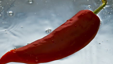 Closeup-fresh-chili-water-surface-floating.-Cooking-with-red-hot-vegetable.