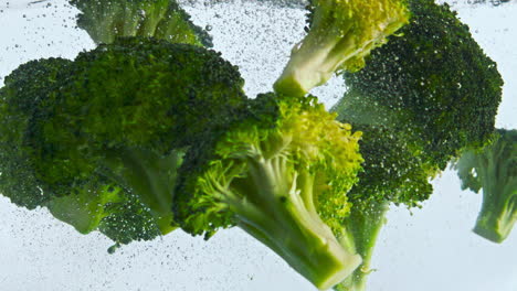 Closeup-green-broccoli-water-on-white-background.-Fresh-pieces-cabbage-floating.