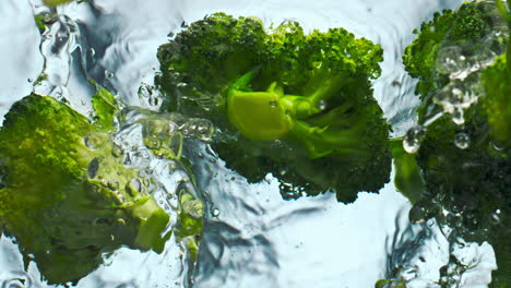Grüner-Brokkoli,-Der-Wasser-Auf-Weißem-Hintergrund-Fallen-Ließ.-Reifer-Kohl,-Der-In-Der-Nähe-Spritzte