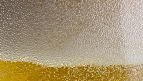 Foamy-beer-sizzling-bubbling-transparent-glass-closeup.Blebs-froth-raising-up