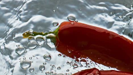 Closeup-hot-peppers-floating-bouncing-water-surface.-Spicy-culinary-ingredient