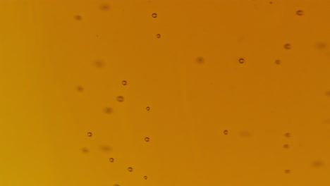 Carbon-dioxide-beer-bubbles-moving-glass-closeup.-Rippling-blobs-liquid-vessel