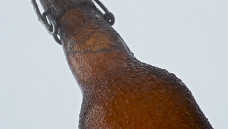 Wet-glass-beer-bottle-covered-moisture-droplets-on-white-background-close-up.