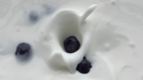 Blueberries-falling-splashing-lactose-beverage-closeup.-Berries-floating-milk