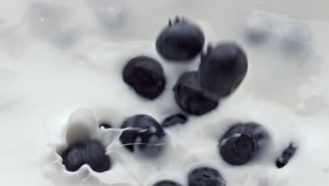 Closeup-berries-filling-milk-liquid.-Berries-floating-inside-calcium-cocktail