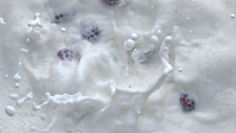 Berries-throwing-splashing-milk-cocktail-top-view.-Liquid-floating-raspberries