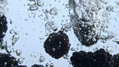 Closeup-bramble-bubbling-liquid-with-drops.-Ripe-berries-falling-into-water