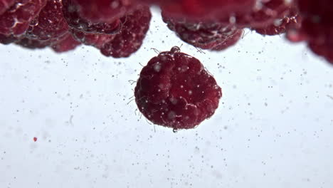 Ripe-wet-berries-floating-inside-carbonated-cocktail-closeup.-Organic-raspberry