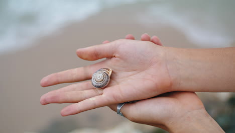 Hands-holding-sea-shell-at-ocean-shore-closeup.-Holiday-vacation-memories.