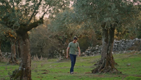 Serious-farmer-walking-olive-plantation.-Man-checking-harvest-basket-vertical