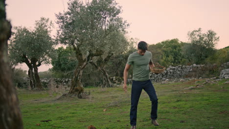 Serious-farmer-carrying-basket-evening-garden.-Male-picking-up-olives-vertically