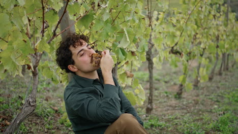 Young-man-sitting-vineyard-under-bush-eating-grapes-cluster-vertically-closeup