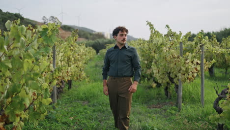 Young-man-strolling-plantation-with-vine-bushes.-Winegrower-walking-vineyard.