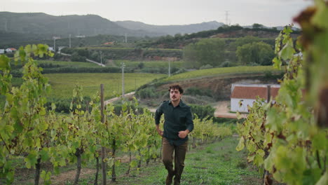 Vineyard-worker-walking-rows-vine-bushes-checking-grapes-before-picking-vertical