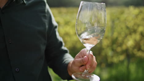 Man-shaking-white-wine-goblet-in-vineyard-vertically-closeup.-Taster-degustation