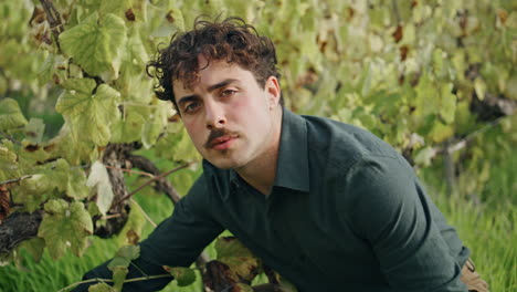 Man-checking-vine-growth-grape-plantation-vertical-closeup.-Winegrower-vineyard