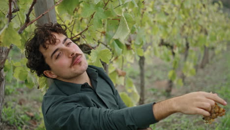 Winegrower-eating-sweet-grapes-under-vine-bush-vertical-closeup.-Worker-relaxing