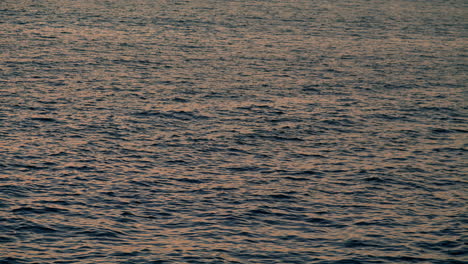 Ruhige-Meeresoberfläche,-Die-Bei-Sonnenuntergang-Plätschert.-Friedliches-Seewasser,-Das-Am-Morgen-Weht.