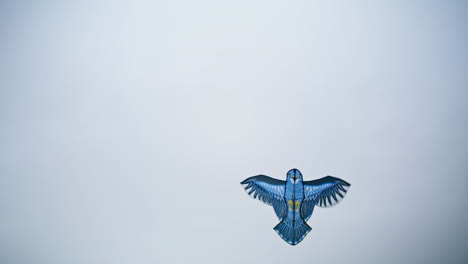 Hermoso-Cielo-Volador-De-Cometas-En-Un-Día-Nublado.-Búho-Pájaro-Azul-Despreocupado-Balanceándose-En-El-Viento.
