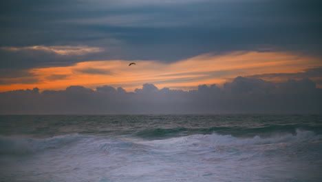 Summer-evening-seascape-waving-at-beautiful-cloudy-sky.-Bird-flying-over-sea.