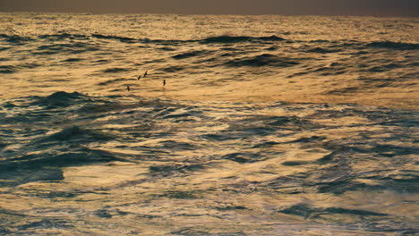Birds-flying-ocean-surface-in-early-morning.-Deep-powerful-sea-waving-rolling
