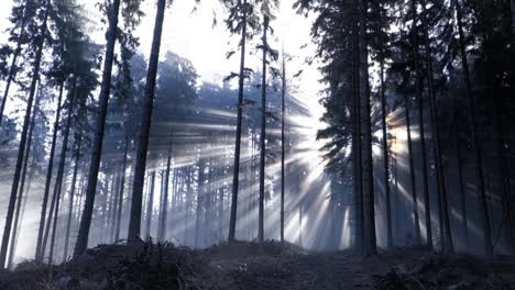 Sonnenstrahlen-Scheinen-Durch-Die-Bäume-In-Den-Mährisch-schlesischen-Beskiden-Mit-Hohen-Tosenden-Gipfeln