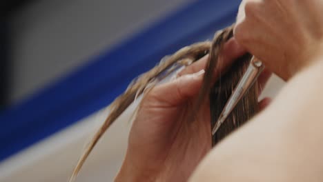 Hair-stylist-cutting-long-brown-female-hair-with-scissors-as-she-combs-hair-up