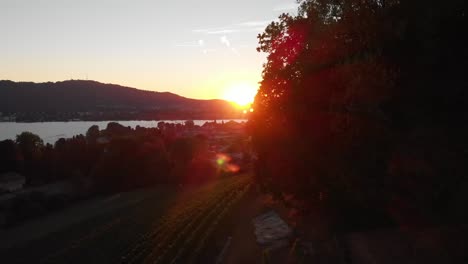 Schöne-Luftdrohne,-Die-Seitlich-Aufsteigt,-Mit-Dem-Sonnenuntergang-Durch-Die-Bäume,-Der-Die-Stadt-Zürich-Schweiz-Enthüllt