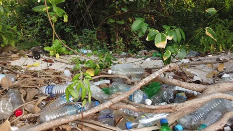 Countless-numbers-of-plastic-bottles-disposed-of-over-time-behind-a-hotel-in-the-Andaman-Islands-in-India
