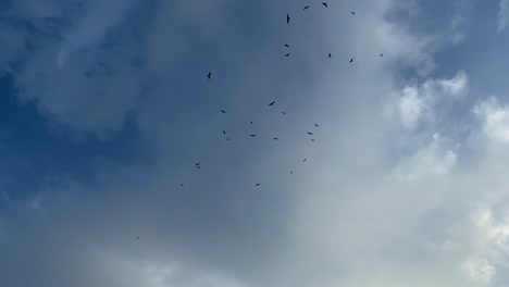 Looking-Up-At-Group-Of-Black-Birds-Circling-High-Above-Against-Cloudy-Blue-Sky