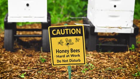 Achtung-Honigbienen-Bei-Der-Arbeit-Schild-Vor-Bienenstock-Bienenstöcke-Im-Herbst