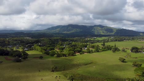 Filmische-Luftaufnahme-Von-Kauai-Forest-Reserve,-Kapaa-Hill---Kauai,-Hawaii
