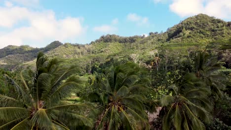Filmische-Luftaufnahmen-Des-Schlafenden-Riesen,-Kapaa-Hill---Kauai,-Hawaii-aufnahme,-Die-Den-Wunderschönen-Tropischen-Wald-Mit-Palmen-Und-Bergen-Zeigt