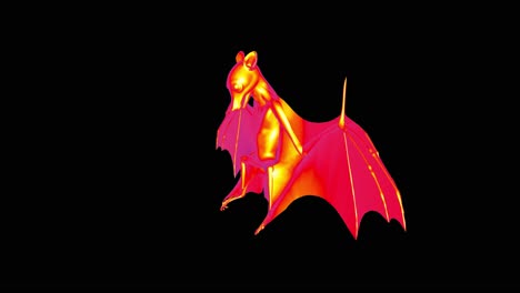Infrared-of-bat-with-Corona-virus-disease