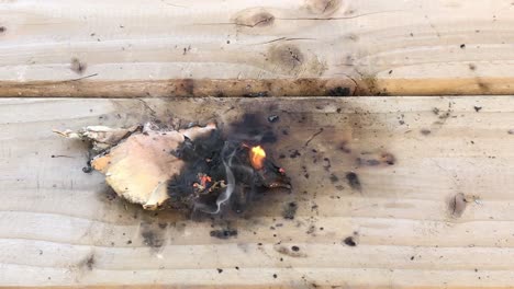 closeup-view-of-birch-bark-burning-and-smoking