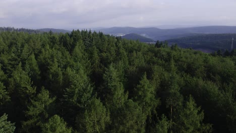 Cinematic-drone-4K-aerial-view-of-a-dense-forest-surrounded-by-a-mountainous-landscape-in-the-community-of-Weibersbrunn,-Germany