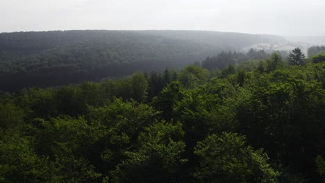 Aerial-cinematic-4K-footage-of-a-drone-capturing-the-morning-light-above-the-treetops-of-a-dense-forest-in-Weibersbrunn,-Germany