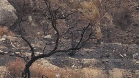 Fairview-Fire-Aftermath-Berglandschaft-In-Hemet,-Kalifornien,-Usa,-September-2022
