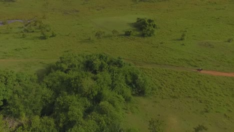 Aerial-view-of-a-cowboy-galloping-his-horse-by-a-red-dirt-path-in-the-venezuelan-plains-slow-motion