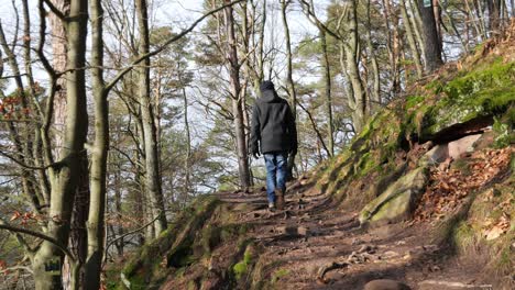 Hiking-Man-Exploring-the-Palatinate-Forest