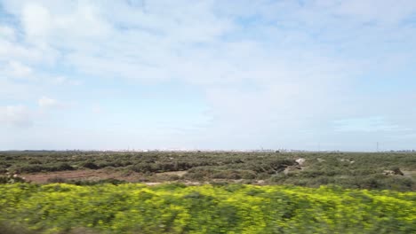 Green-Vegetation-Growing-in-Spanish-Marshes,-Slow-Motion-Driving-By